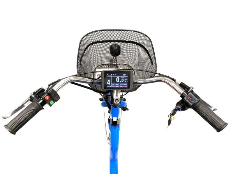 Электровелосипед трехколесный Horza Stels Trike 24-T1 1000W 48V/16Ah